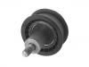 Polea loca, polea tensora Idler Pulley:036 109 244 D